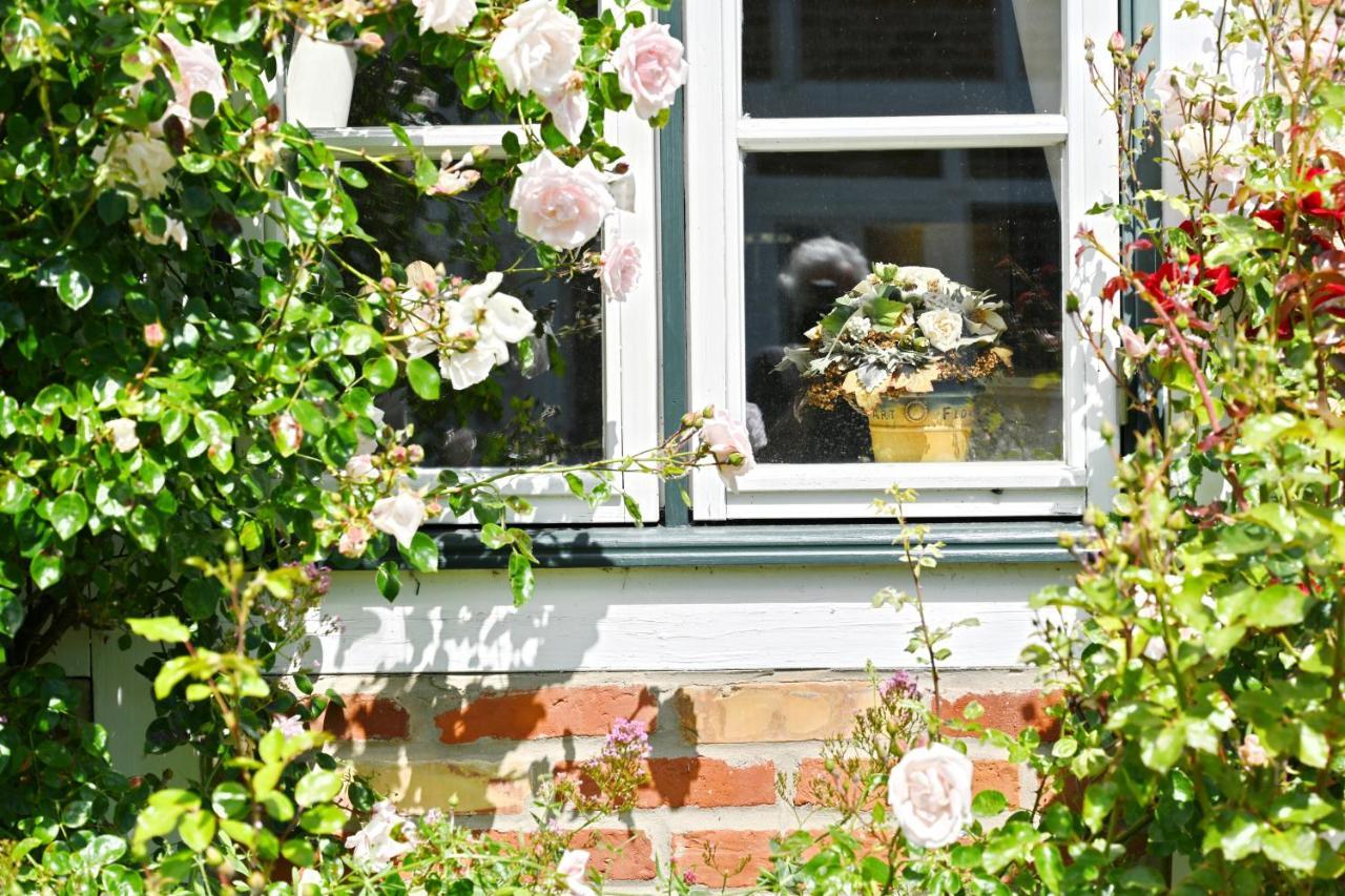 Landhaus Vilmnitz - Wohnung 7 Exterior foto